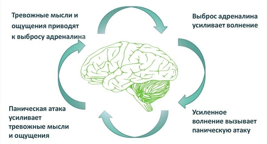 Всд тревожное расстройство. Замкнутый круг при панической атаке. Паническая атака. Паническое расстройство.