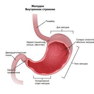 Рефлюкс-синдром симптомы и лечение — Евромедклиник 24