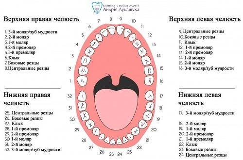 Первичная киста зуба